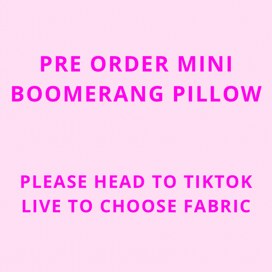 Mini Boomerang Pillow Pre Sale